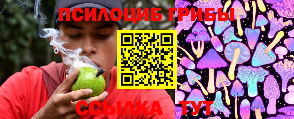 Лянтор  Галлюциногенные грибы Cubensis  Вход с VPN  Псилоцибиновые грибы Magic Shrooms 